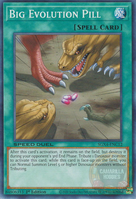 Big Evolution Pill - SGX4-ENC12 - Common 