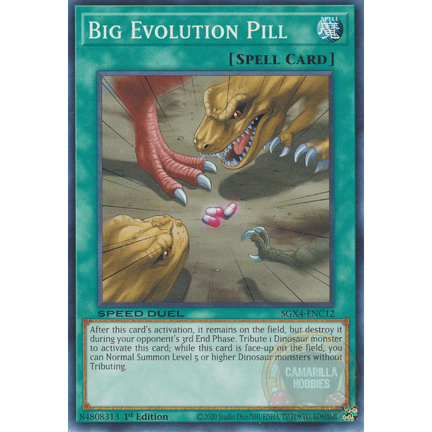 Big Evolution Pill - SGX4-ENC12 - Common 
