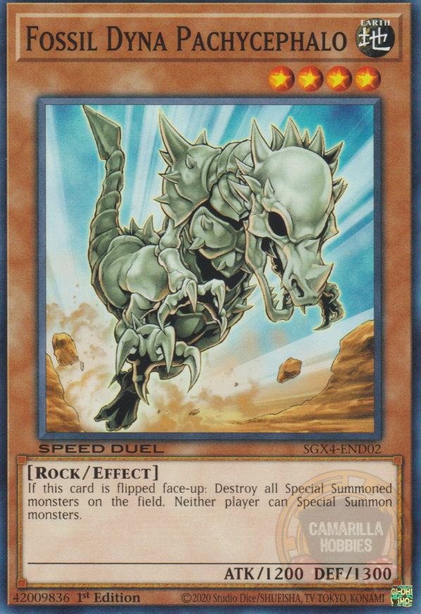 Fossil Dyna Pachycephalo - SGX4-END02 - Common  1