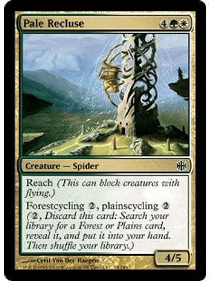 Pale Recluse - ARB - C 