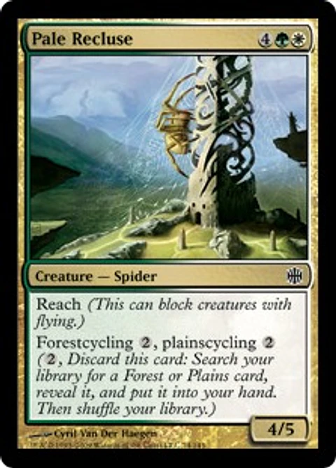 Pale Recluse - ARB - C 