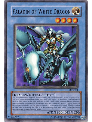 Paladin of White Dragon - SKE-024 - Common