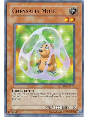 Chrysalis Mole - TAEV-EN011 - Common