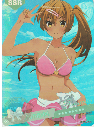 MK-2022-6 - SSR - 010