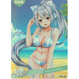 MK-2022-6 - SSR - 029