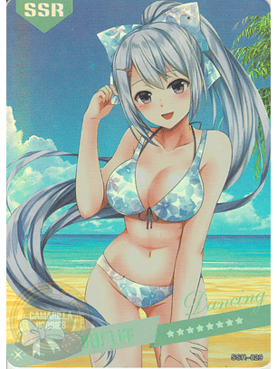 MK-2022-6 - SSR - 029