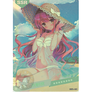 MK-2022-6 - SSR - 031