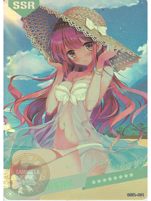 MK-2022-6 - SSR - 031