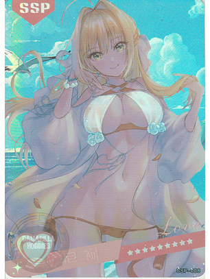 MK-2022-6 - SSP - 008