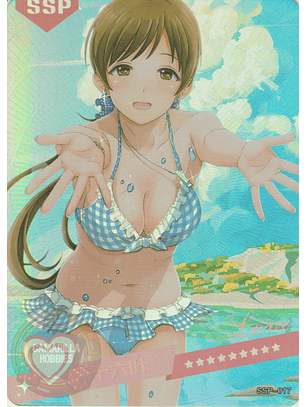 MK-2022-6 - SSP - 017