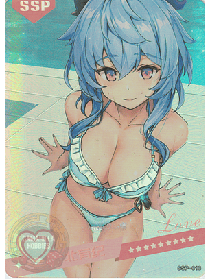 MK-2022-6 - SSP - 018