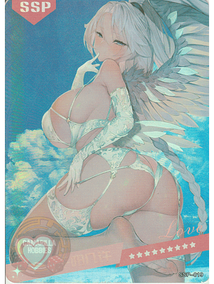 MK-2022-6 - SSP - 019