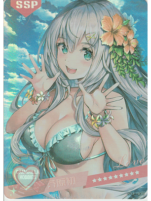 MK-2022-6 - SSP - 030