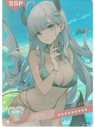 MK-2022-6 - SSP - 031