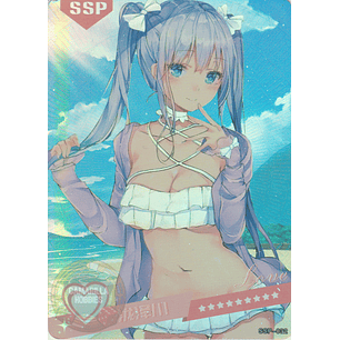 MK-2022-6 - SSP - 032