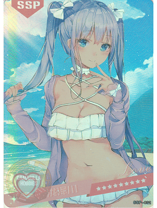 MK-2022-6 - SSP - 032