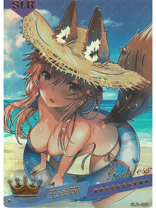 MK-2022-6 - SLR - 003