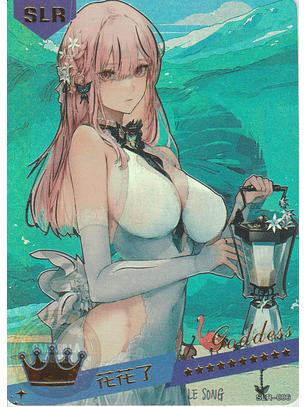 MK-2022-6 - SLR - 006