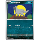 Poochyena - 105/162 - Common 1