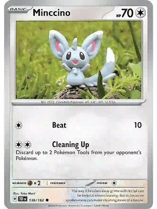 Minccino - 136/162 - Common