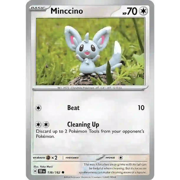 Minccino - 136/162 - Common