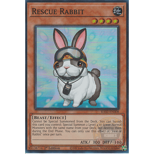 Rescue Rabbit - RA02-EN008