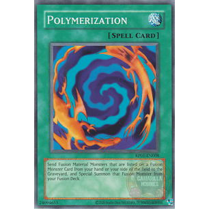 Polymerization - RP01-EN008 - Common (Reprint)