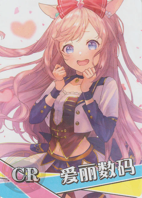 Agnes Digital - NS-2M12-12 - CR