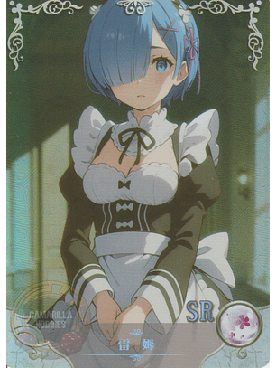 Rem - NS-2M11-16 - SR