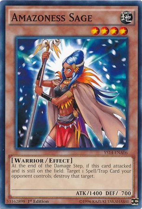 Amazoness Sage - YS14-ENA06 - Common (español)