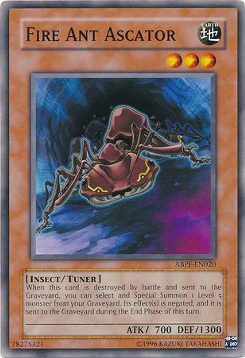 Fire Ant Ascator - ABPF-EN020 - Common