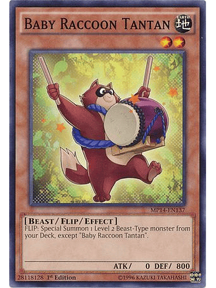 Baby Raccoon Tantan - MP14-EN137 - Common