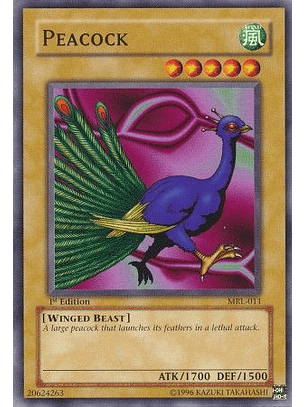 Peacock - MRL-011 - Common 