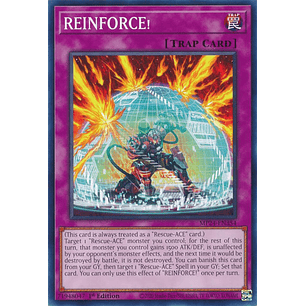 REINFORCE! - MP24-EN354 - Common 