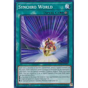 Synchro World - MP24-EN372 - Common 