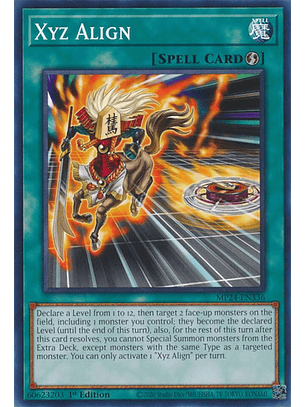 Xyz Align - MP24-EN336 - Common  