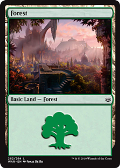 Forest 262 - WAR - C 