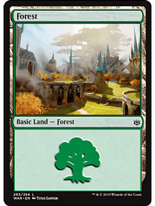 Forest 263 - WAR - C 