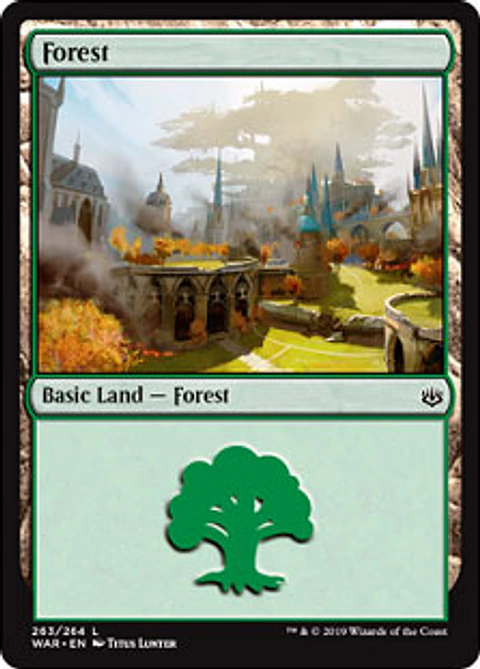 Forest 263 - WAR - C 