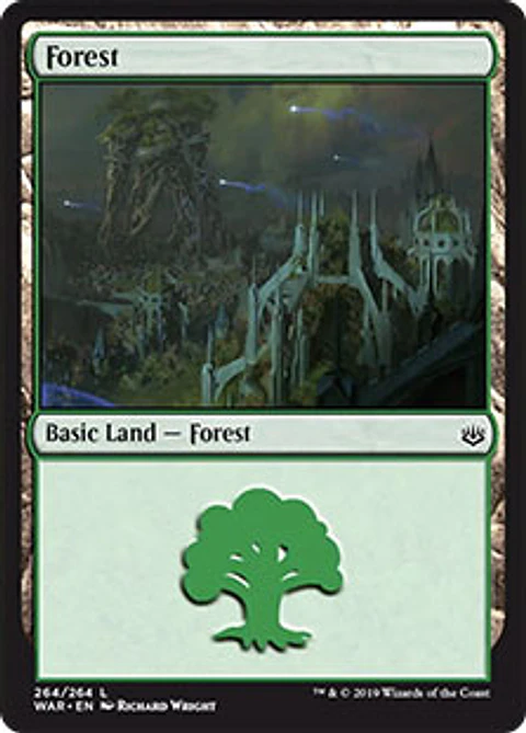 Forest 264 - WAR - C