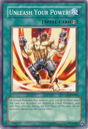 Unleash Your Power! - PTDN-EN056 - Common  1