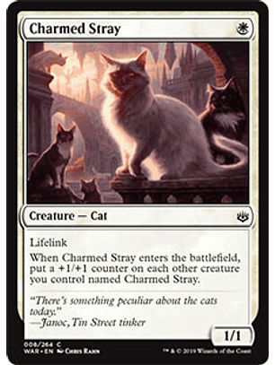 Charmed Stray - WAR - C 