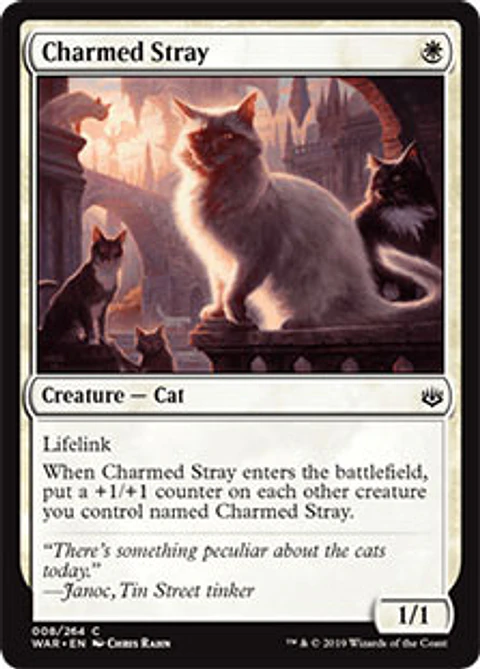 Charmed Stray - WAR - C 