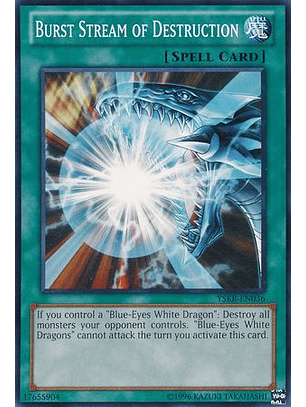 Burst Stream of Destruction - YSKR-EN036 - Common
