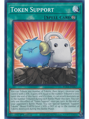 Token Support - ROTA-EN067 - Common 