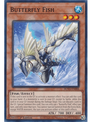 Butterfly Fish - ROTA-EN088 - Common 