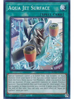 Aqua Jet Surface - ROTA-EN048 - Common 