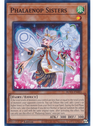 Phalaenop Sisters - ROTA-EN085 - Common 