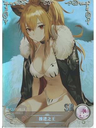 Siege- NS-5M07-17 - SR