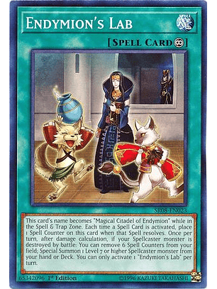 Endymion's Lab - SR08-EN023 - Common 